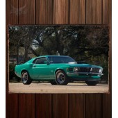 Металлическая табличка Mustang Boss 429 449